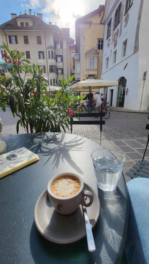 Bolzano 2-Room Central Mountain View, Wifi Netflix Ac Lift エクステリア 写真
